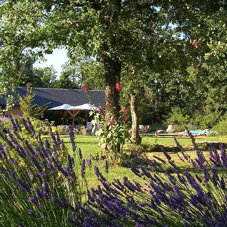 La Villa Des Pins Verrieres  Esterno foto