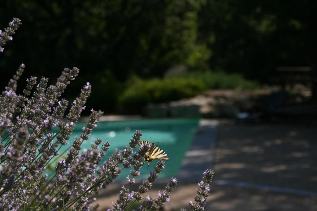 La Villa Des Pins Verrieres  Esterno foto