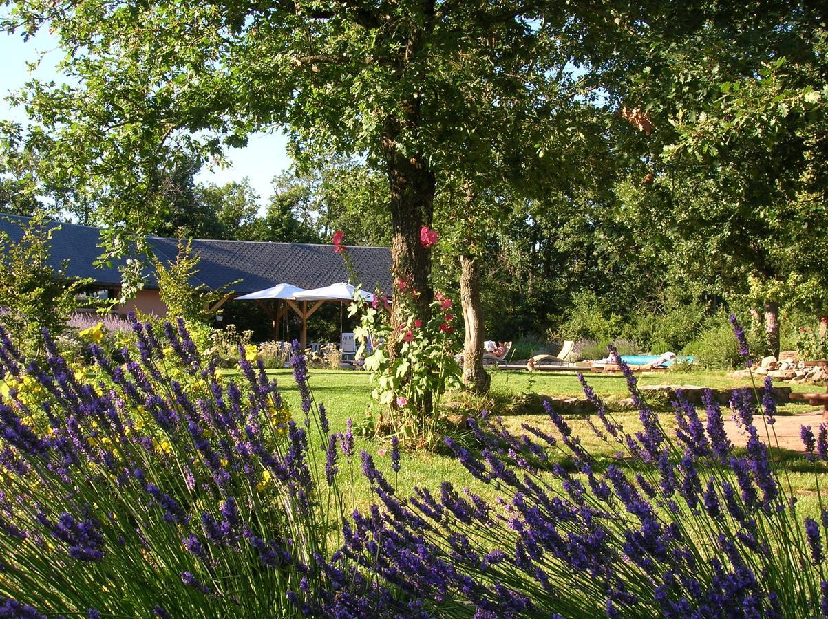 La Villa Des Pins Verrieres  Esterno foto