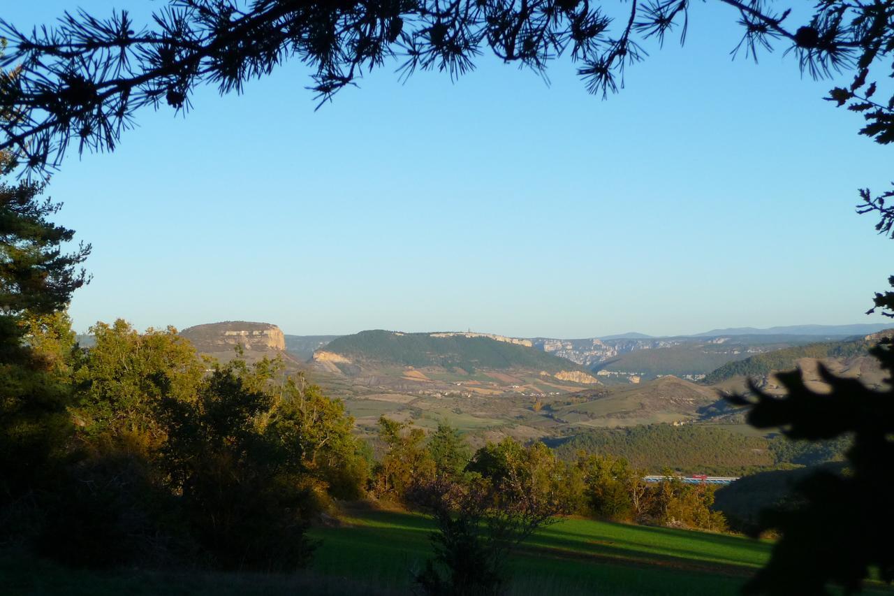 La Villa Des Pins Verrieres  Esterno foto